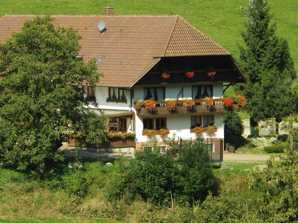 Schusselehof Apartment Oberprechtal Exterior photo